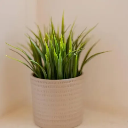 Lux In Center بلغراد